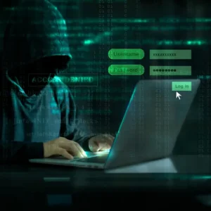 Cyber Crime