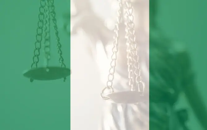 Nigerian Legal Future